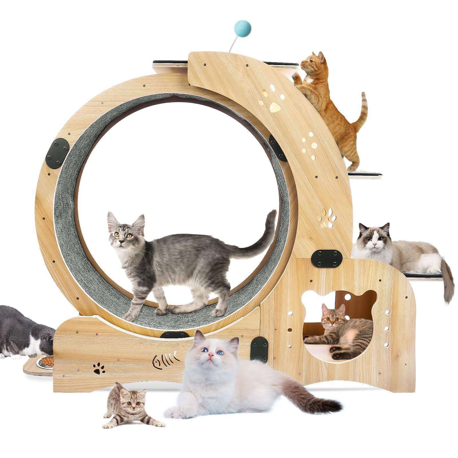 4-in-1 Cat House