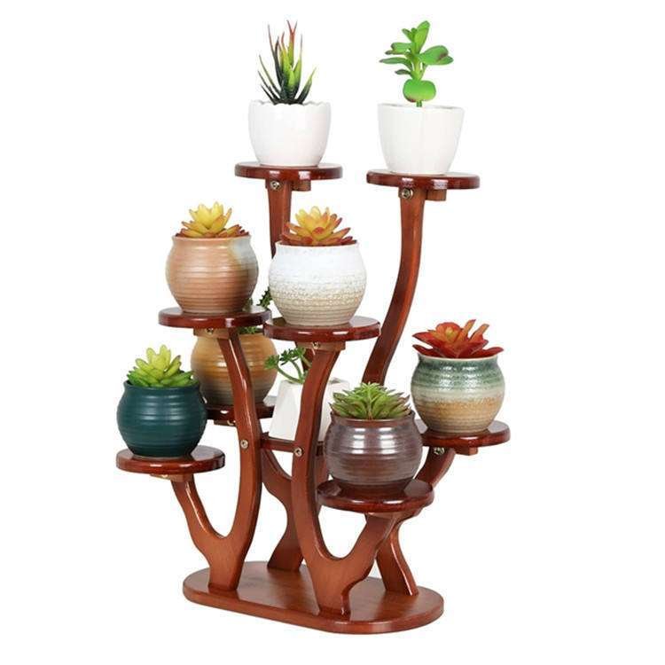 Multi-Layers Succulent Plant